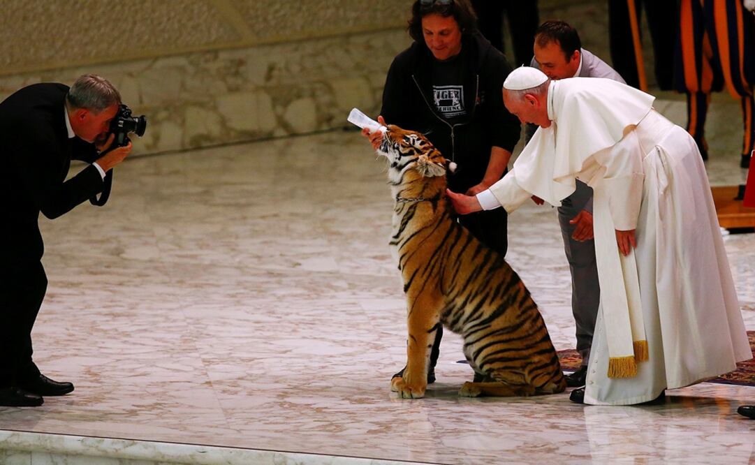 Papa Francisco convive con artistas circenses