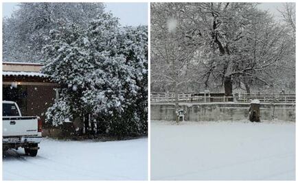 Sonora emite alerta meteorológica por nevadas y heladas