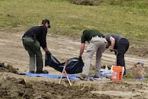 Localizan al menos 117 perros muertos en refugio de animales en California; tenían heridas de bala