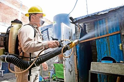 Ssa reporta otros 12 casos de zika