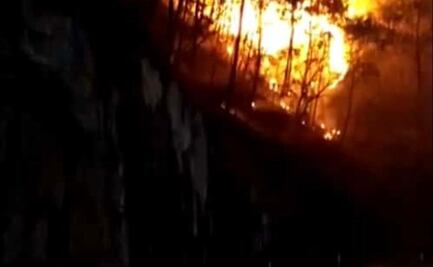 Se registran 30 incendios forestales desde marzo en varios municipios de Sinaloa