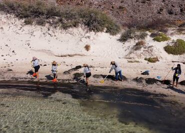 Profepa investiga daño ecológico a playa Balandra tras derrame de combustible
