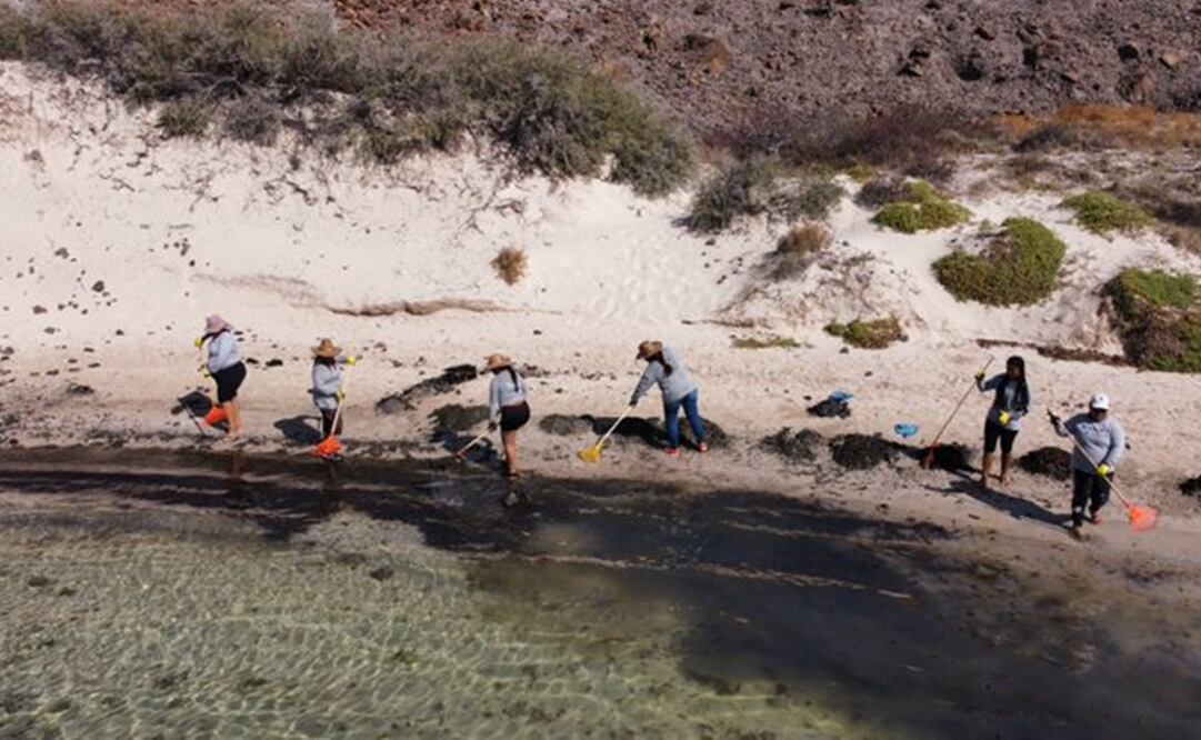 Foto: Twitter @CONANP_mx