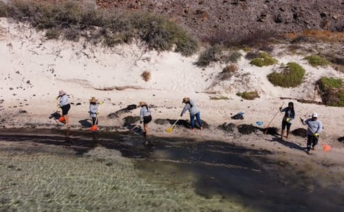Organizaciones denunciaron que la mayoría de las playas no ha recibido limpieza. Imagen Ilustrativa. Foto: Twitter @CONANP_mx