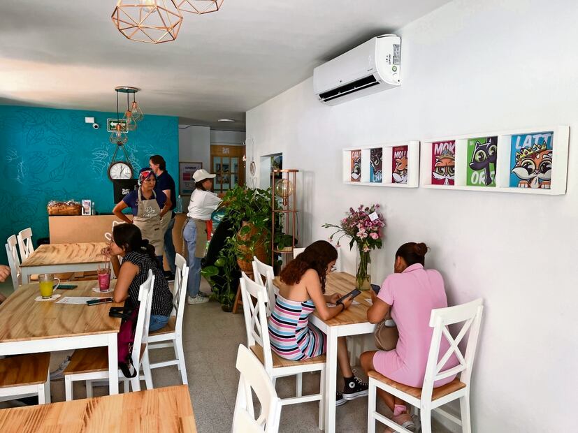 Los comensales se pueden tomar un café y conocer la historia de los felinos rescatados. Foto: Patricia Morales / El Universal