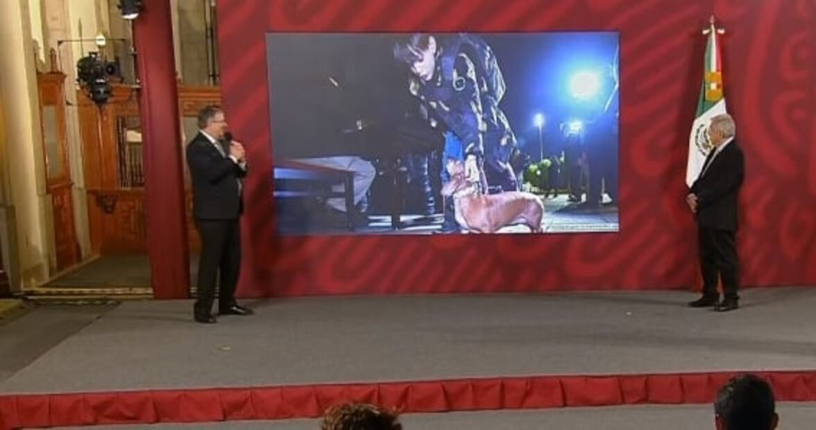 La mañanera de AMLO, 4 de marzo, minuto a minuto