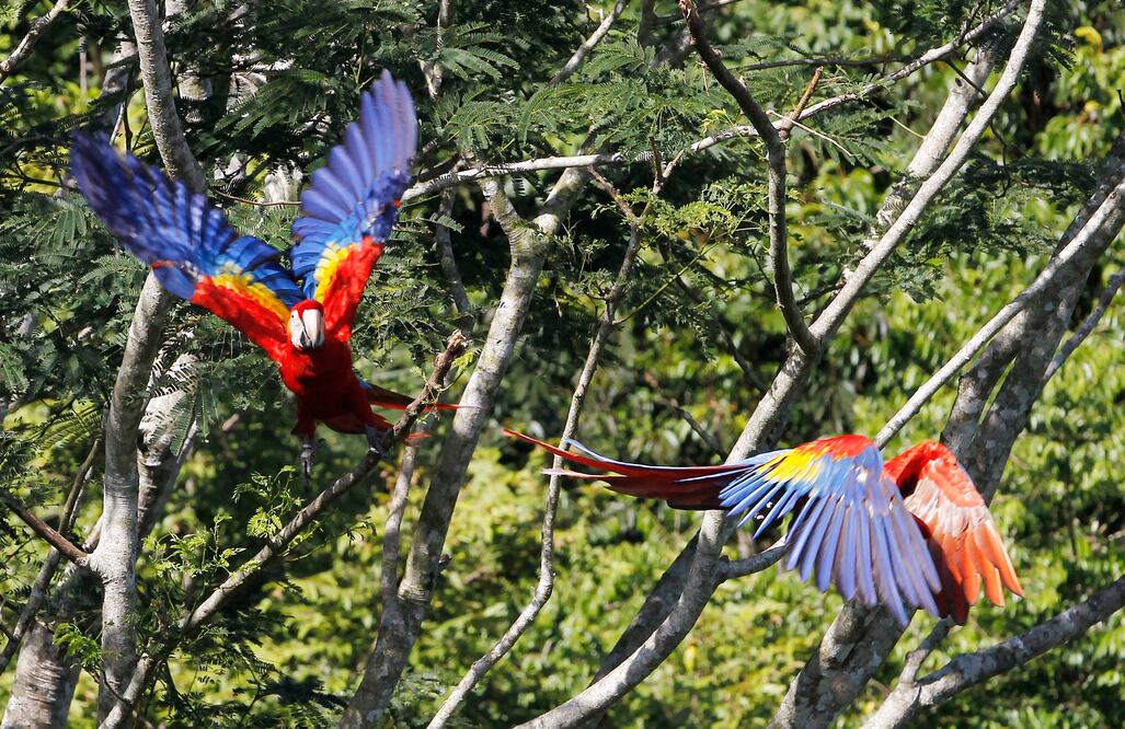 Archivo / EL UNIVERSAL