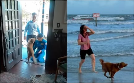 VIDEO: astronauta de Artemis II Christina Koch comparte reencuentro con su perrita; reacción de la mascota se viraliza