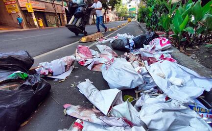 Diputada de MC propone que propaganda electoral impresa sea reciclable; busca fabricación con materiales biodegradables