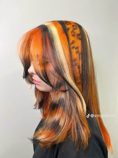 La tendencia inspirada en los gatos que se volvió viral. Foto: Redes Sociales