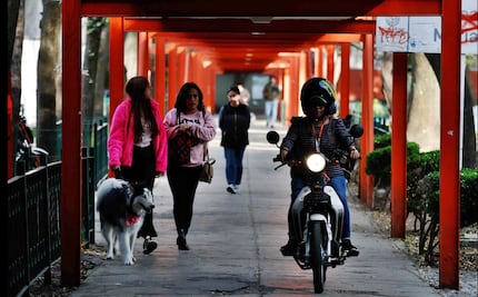 Alcaldía Cuauhtémoc destina 30 mdp para recuperar Tlatelolco en 2025; "no vamos a parar hasta iluminar cada rincón"