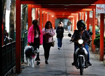 Alcaldía Cuauhtémoc destina 30 mdp para recuperar Tlatelolco en 2025; "no vamos a parar hasta iluminar cada rincón"