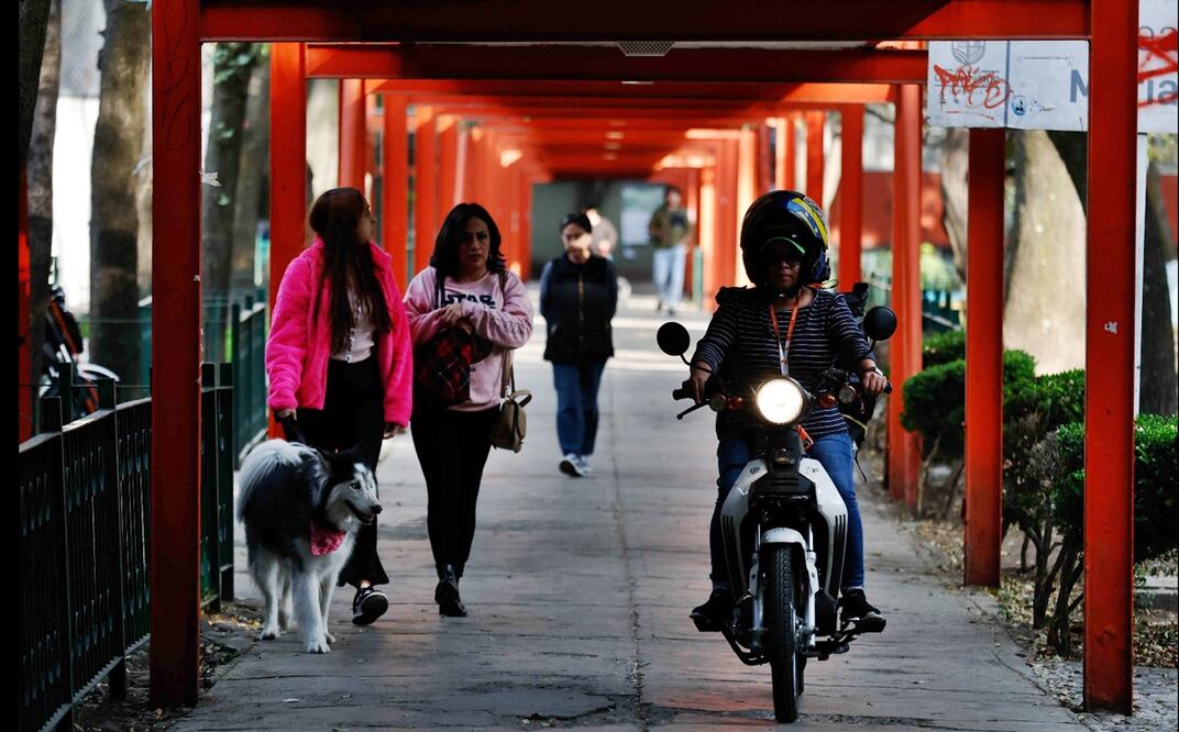 Alcaldía Cuauhtémoc destinará más de 30 mdp a Tlatelolco en 2025. Imagen ilustrativa. Foto: Diego Simón Sánchez/EL UNIVERSAL