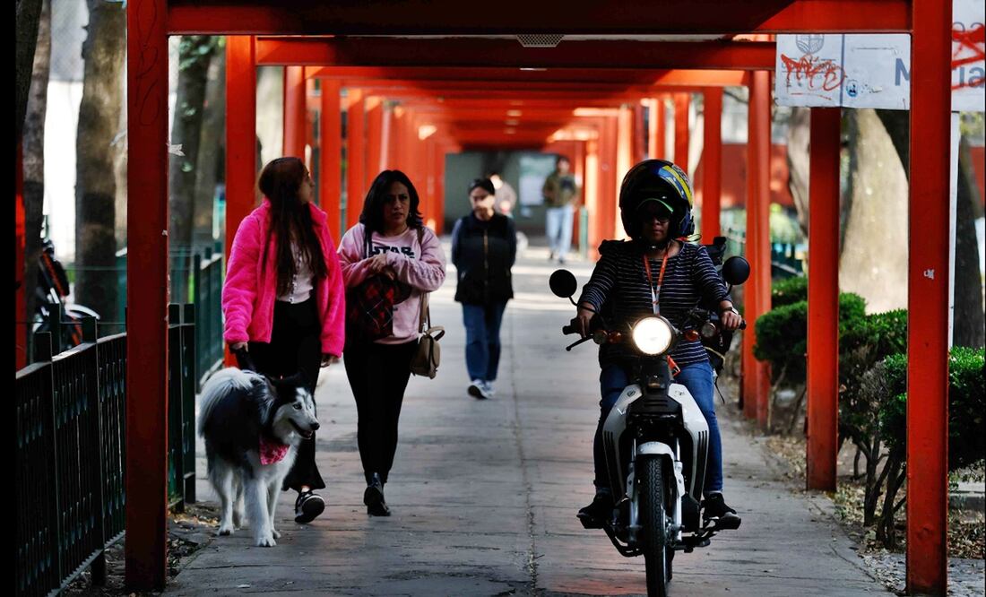 Alcaldía Cuauhtémoc destinará más de 30 mdp a Tlatelolco en 2025. Imagen ilustrativa. Foto: Diego Simón Sánchez/EL UNIVERSAL