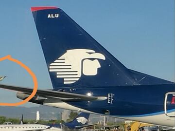 Aviones de Aeroméxico rozan alas en AICM; activan protocolo de seguridad