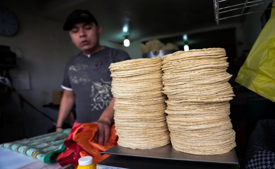 Foto: Archivo/Cuartoscuro