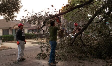 FOTOS: En respuesta a Trump, migrantes se unen para retirar escombros que pudieran avivar incendios en Los Ángeles