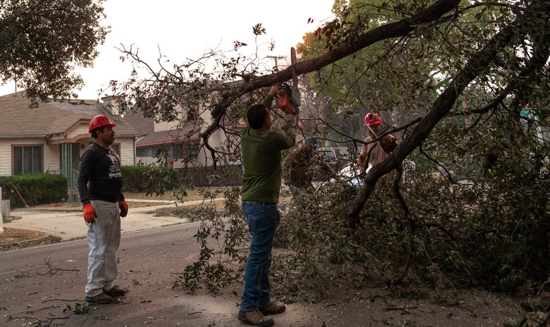 Migrantes se unieron voluntariamente en varias brigadas para remover árboles caídos y escombros en las zonas afectadas por los fuertes vientos y los mortales incendios en Los Ángeles. Foto: EFE