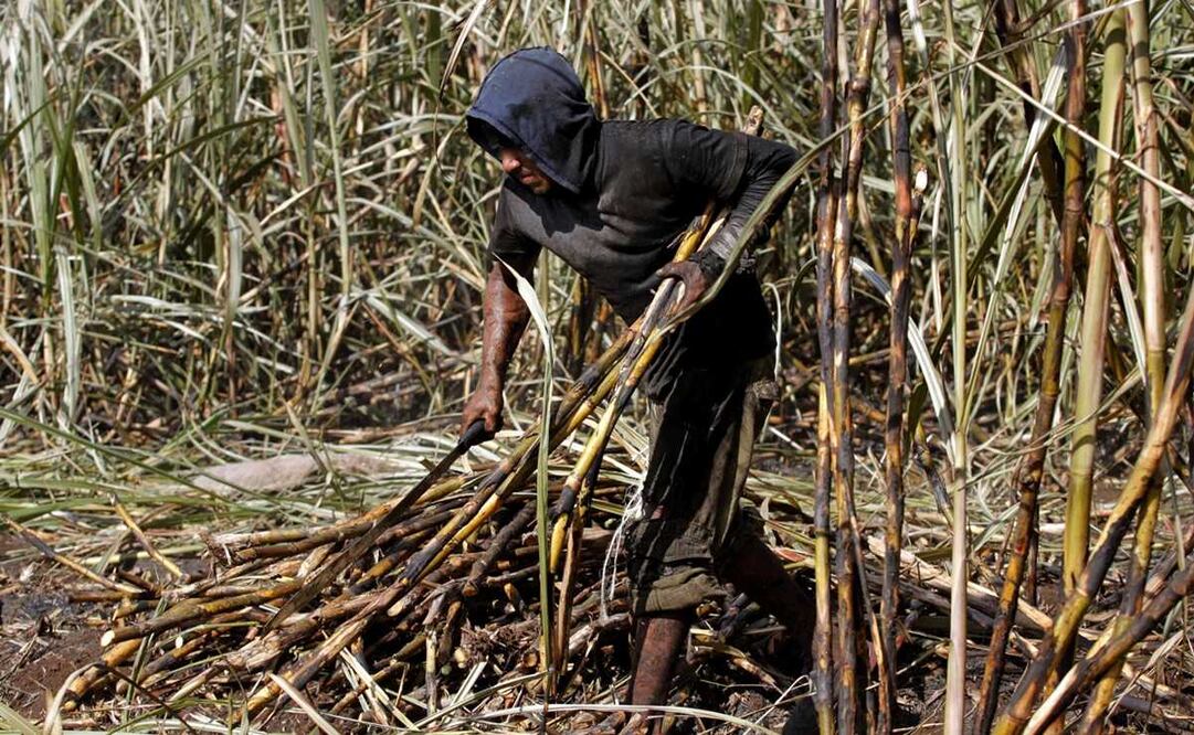 Foto: Archivo/EL UNIVERSAL 