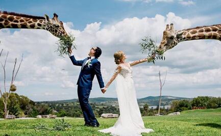 Adal Ramones celebra un año de su boda