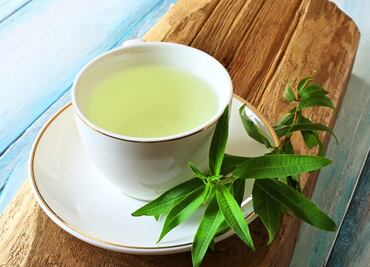 Qué es el cedrón y cuáles son sus beneficios