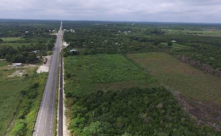 Tribunal impide ejecutar obras del Tren Maya en Calakmul 