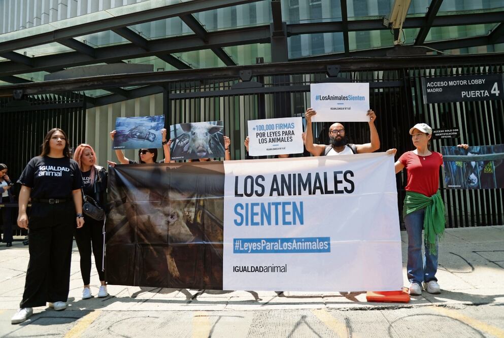 Activistas cuestionaron la voluntad de los líderes del Senado en contra del maltrato animal; en su protesta, exigieron castigos que escalan a lo penal. Carlos Mejía | El Universal