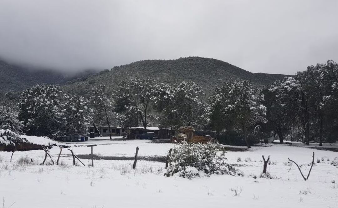 La Secretaría de Educación indicó que los educandos que permanezcan en sus casas trabajarán a distancia con contenidos definidos previamente por sus maestros y maestras. Foto: El Universal