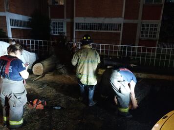 Personal de Protección Civil retira 19 árboles en Edomex tras tormenta