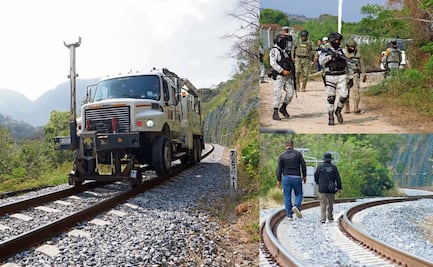 Tren Interoceánico, sin seguridad privada este año; licitación se quedó desierta 