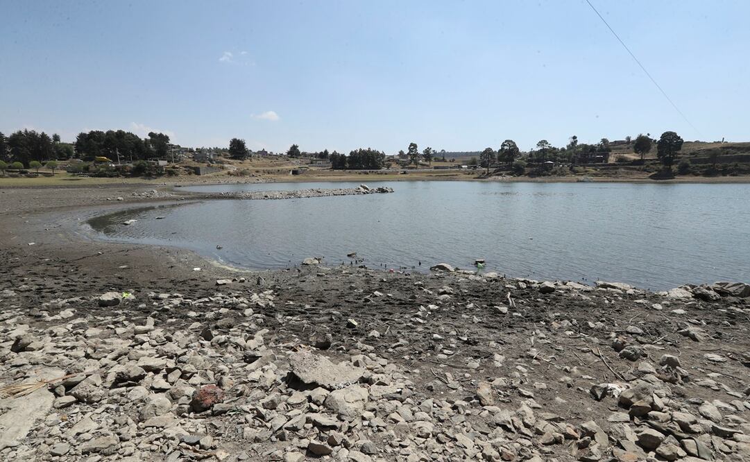 Foto: Archivo/EL UNIVERSAL 