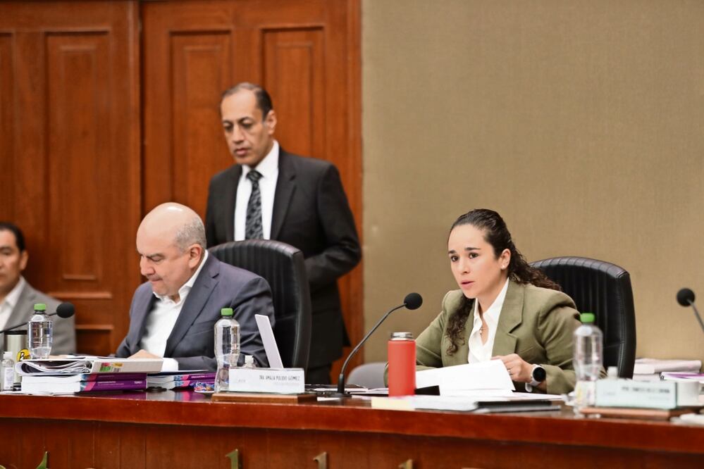 La consejera presidenta Amalia Pulido expuso que la revisión de los paquetes electorales puede concluir este jueves.