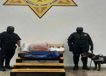 Aseguran más de 8 kilos de droga en terminal de autobuses de Mérida, Yucatán