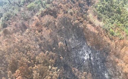 Controlan al 90% incendio en reserva El Triunfo en Chiapas