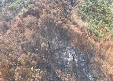 Controlan al 90% incendio en reserva El Triunfo en Chiapas