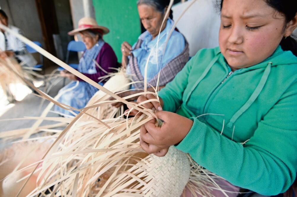 Pobladores de comunidades como San Cristóbal, San Andrés y San Pablo buscan rescatar el tejido de la palma, oficio que enseñan a las nuevas generaciones para que no muera la tradición (JORGE ALVARADO. EL UNIVERSAL)