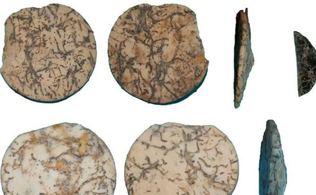 Foto: Universidad de Granada/ Claudia Pau