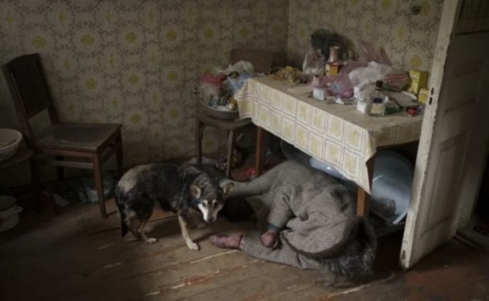 Pese a la guerra, mascotas permanecen junto a los cuerpos de sus dueños en Ucrania 