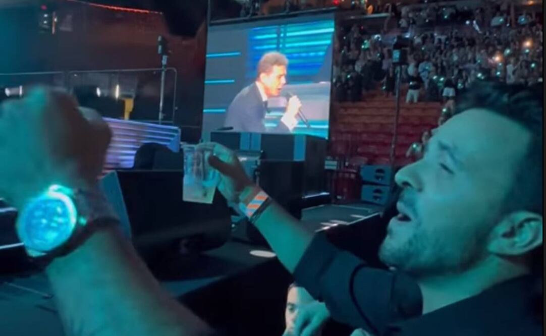 Luis Fonsi canta desde la primera fila en el concierto de Luis Miguel.