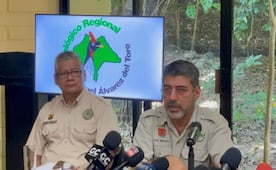 Detectan dos casos de influenza aviar en Zoológico de Chiapas; refuerzan medidas sanitarias