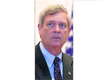 Oro verde genera tensión… otra vez