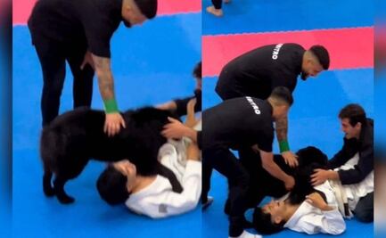 Perrito intenta “salvar” a su dueño en torneo de jiu-jitsu en Chile