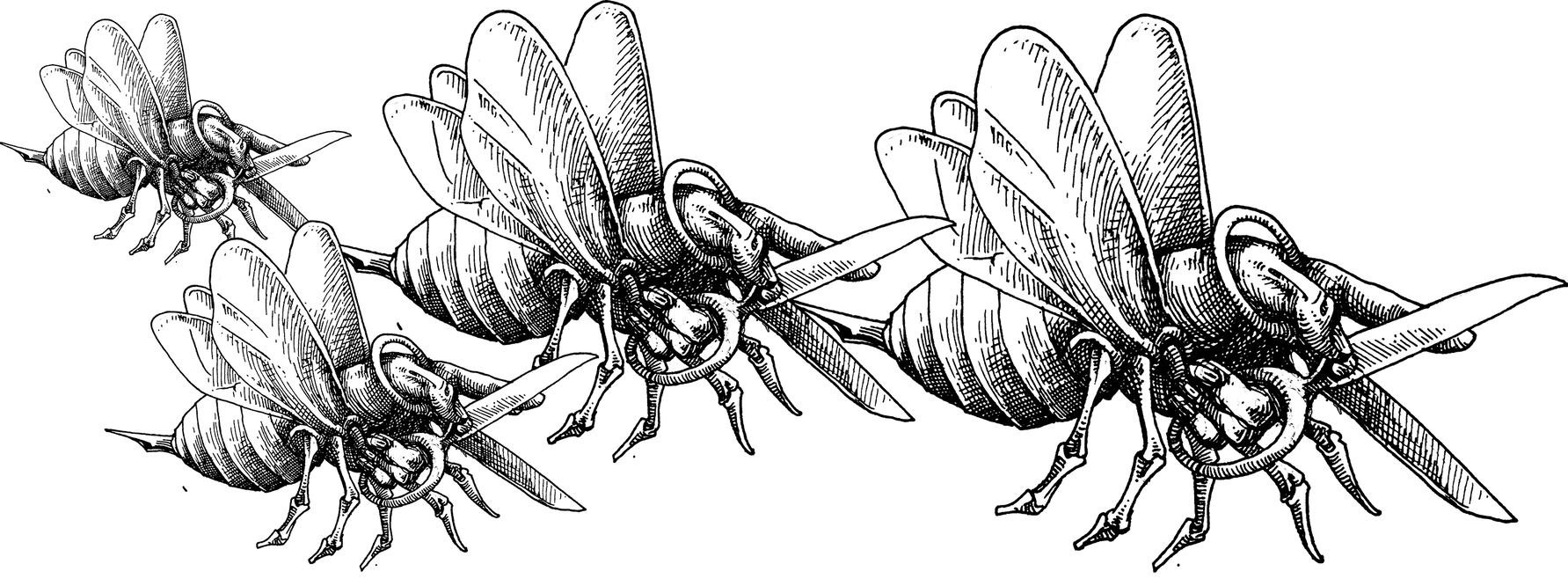 Los celulares serán confiscados en marzo