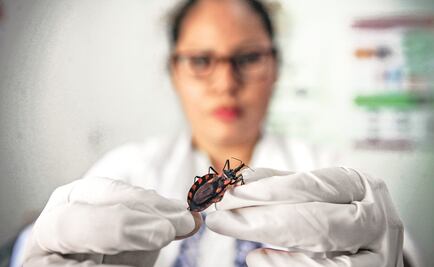 Enfermedad de Chagas, un enorme y silencioso mal