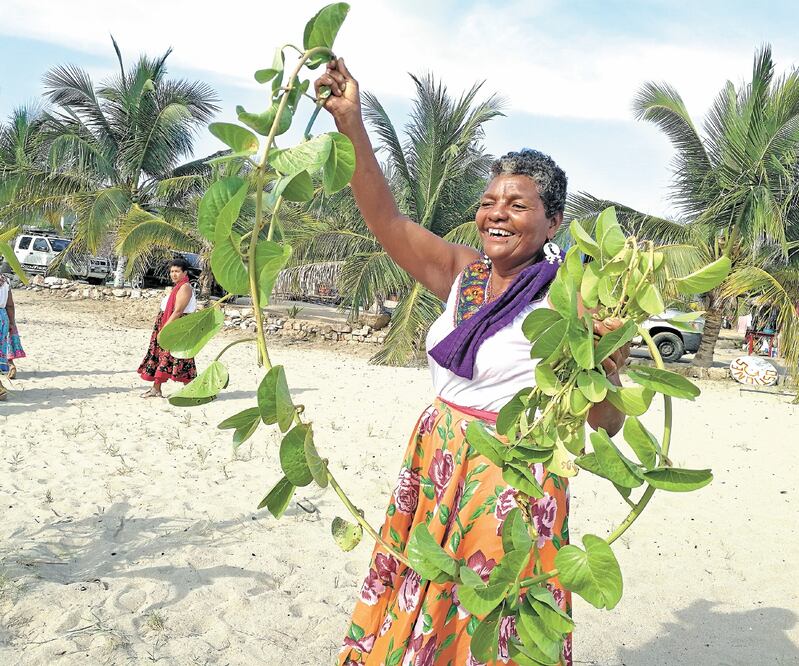 Por su color de piel, los afrodescendientes en México sufren rechazo, al grado de que muchos no los consideran mexicanos. FOTOS: Roselia Chaca/EL UNIVERSAL