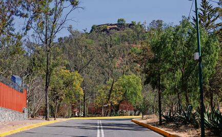 Plantarán 16 mil árboles en el Cerro de la Estrella