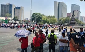 Protestas y concentraciones en CDMX; prevén movilizaciones animalistas, cannábicas y feministas este domingo