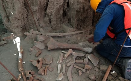 A discovery of epic proportions: Dozens of mammoth remains found in Mexico’s Santa Lucía airport
