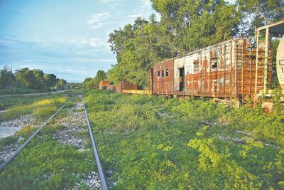 Adjudican tercer tramo del Tren Maya a consorcio mexicano y español
