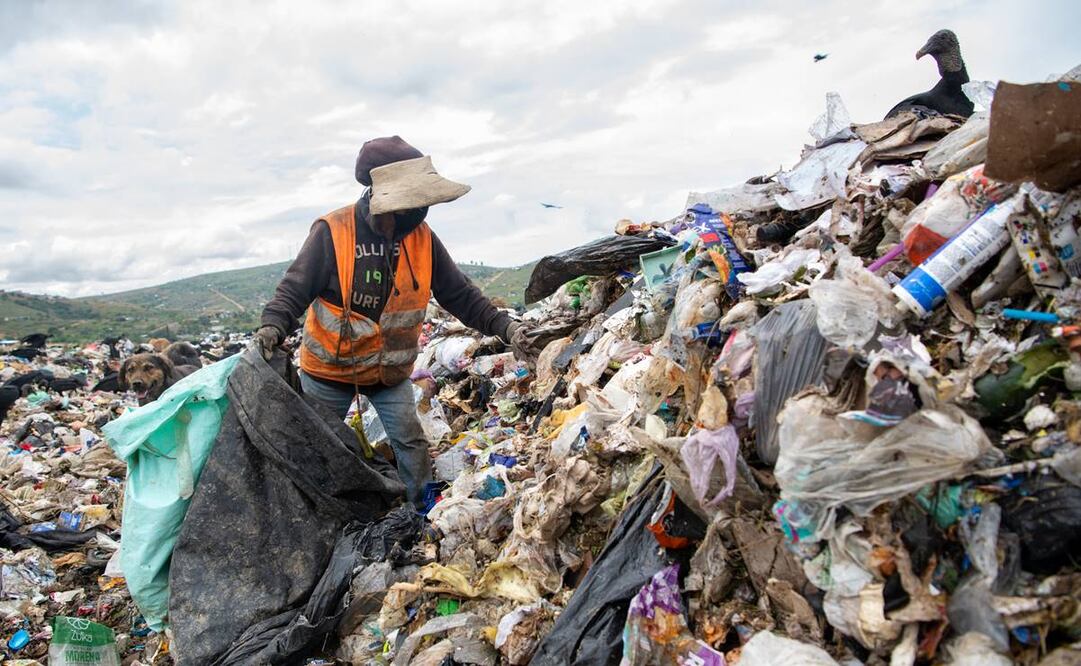 ¿Cuántos viven hoy de la basura?